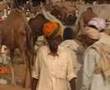 01 - Camel Fair Pushkar