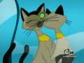 videos de Request for Jpedley5678