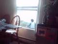 asian lady doing matial arts outside my window