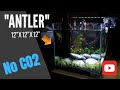 12 X 12 X 12 Aquarium