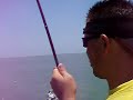 SpiFishKiller.com SpiFishKiller.com