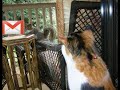 re-gmail-behind-the-scenes-final-cut.html