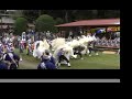 Tono Hachiman festival 2006 Hariyama Shishi-odori