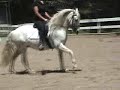 PRE ANDALUSIAN MARE 4th tempi changes DRESSAGE