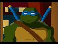 10th Turtle Down 10th Turtle Down