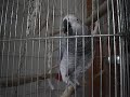 MOV06234 MOV06234