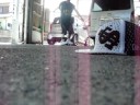 nO...3d|t...[OUT]