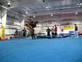 videos de GA 2008 Tricking Gym Sam