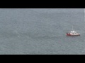 Whale Thrashing Tail by a Tour Boat