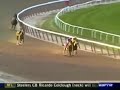 Bernardini Bernardini