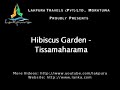 hotel Hibiscus Garden video