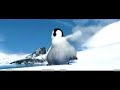 penguen co?mu? süperrr... penguen co?mu? süperrr...