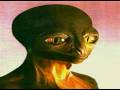 Reptilians Reptoids Lizard Man