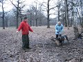 Cane corso.Bite training.episode18
