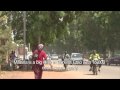 Malaria Mosquitoes