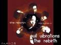 Evil Vibrations  The Rebirth