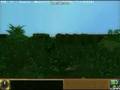 Java Classic RPG demo video 3 (jungle, river, mountain)