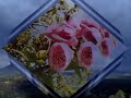 Jil Caplan - Des toutes petites choses