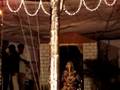 GANESHA FEST LG HALLI