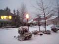videos de December 2008 Bainbridge island Washington,Snow on Bainbridge