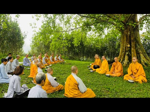 Khất Thực NIKAYA - Nhiếp Phục Tâm Chống Đối - Nổi Loạn & Thối Lui Khất Thực NIKAYA - Nhiếp Phục Tâm Chống Đối - Nổi Loạn & Thối Lui