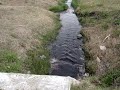 TEXTILES CONTAMIINAN AL BARRIO LOS GALLITOS. ZANJAS DE TODOS LOS COLORES Y OLORES, BASURA Y TODO LO DEMÁS. VECINOS CANSADOS DE RECLAMAR.