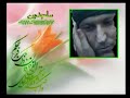 we will never forget seyyed javad zaker