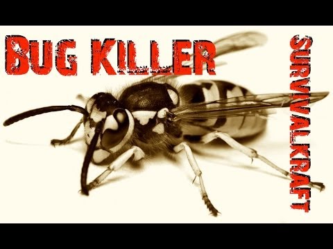 how to get rid of wasps nz
