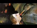 Buckethead - Spokes On The Wheel of Torment Buckethead - Spokes On The Wheel of Torment
