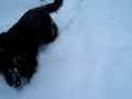 Nike im Schnee