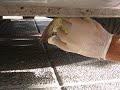 casador de pajaros