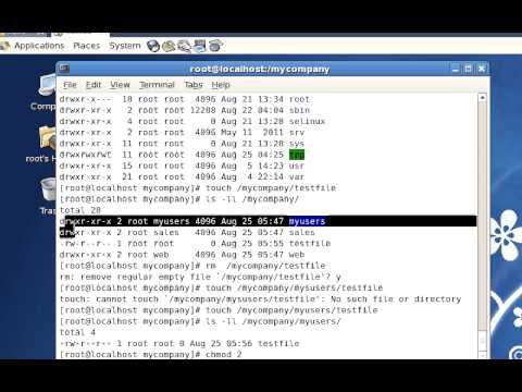 how to provide permission to user in linux
