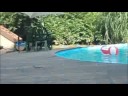 All Summer Long [Dance]