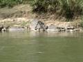 pesca SUB rio maranhao