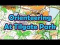 Park Orienteering at Tilgate, West Sussex