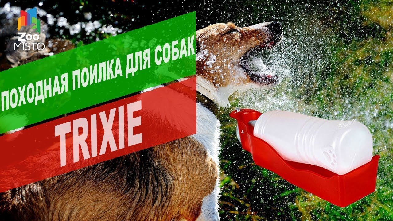 Походная поилка для собак TRIXIE | Обзор походной поилки для собак TRIXIE