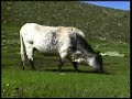 Parque Nacional de la Sierra del Guadarrama