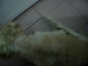 ?????????0711