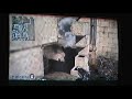 COD4 PS3 online
