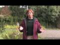 videos de Gardening: Repelling Pests : How to Repel Otters