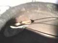 Tandoori Nan making.
