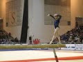vanessa ferrari jesolo 2008 - trave