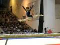 vanessa ferrari jesolo 2008 - trave