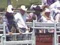 Rodeo Cruelty Suspects Sought in Illinois