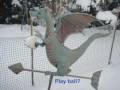 videos de Snow Pigs mxf