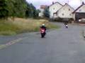 videos de video halt