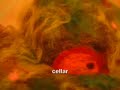 Root Cellar Jam