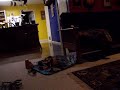 Pretending Turtle