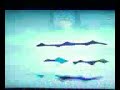 All Star Super Power Players Marathon On Jetix