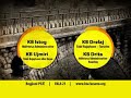 agjesncia-kosovare-e-mirebesimit-vala-21.html